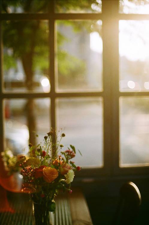 Người xa lạ yêu nhau