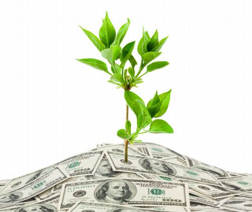 Những điều ngay cả Havard cũng không dạy bạn